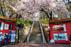 삼국지 벽화거리