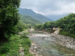 표충사 계곡