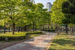 센텀 APEC나루공원