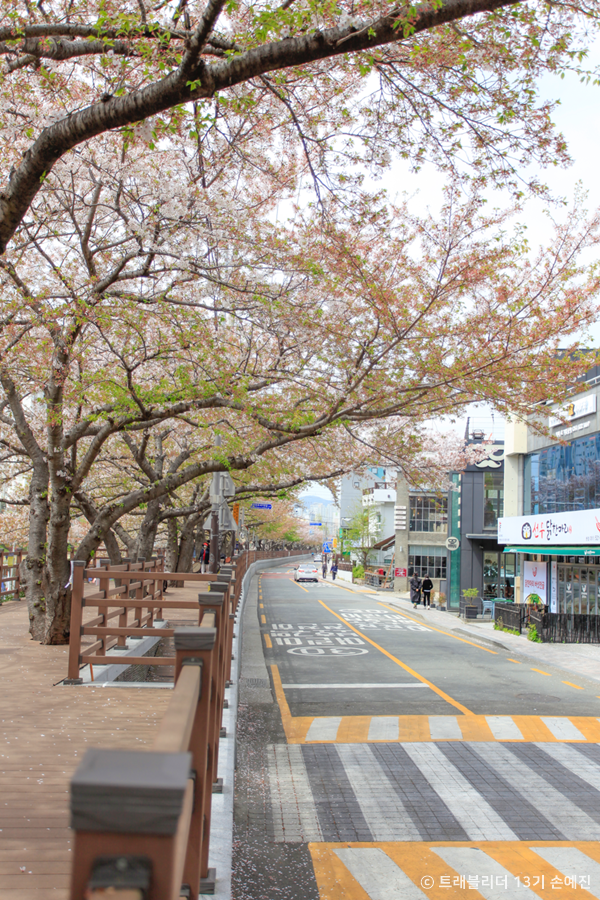 르쎄
