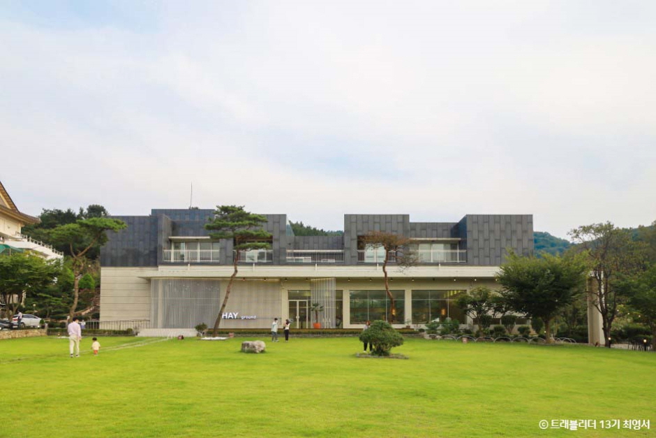헤이그라운드