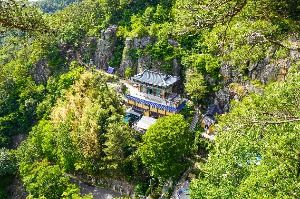 구절산
