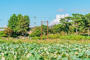 달맞이공원