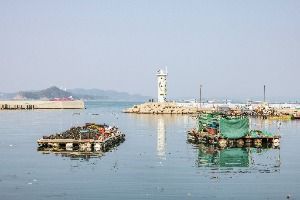 대항선착장
