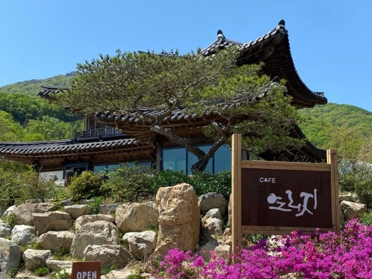연리지