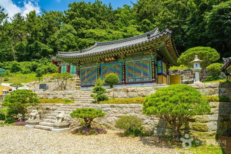 금정사