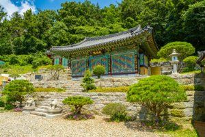 금정사