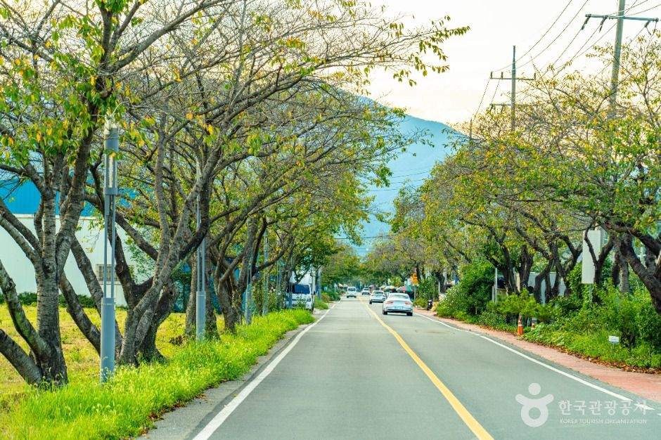 하동명품배거리