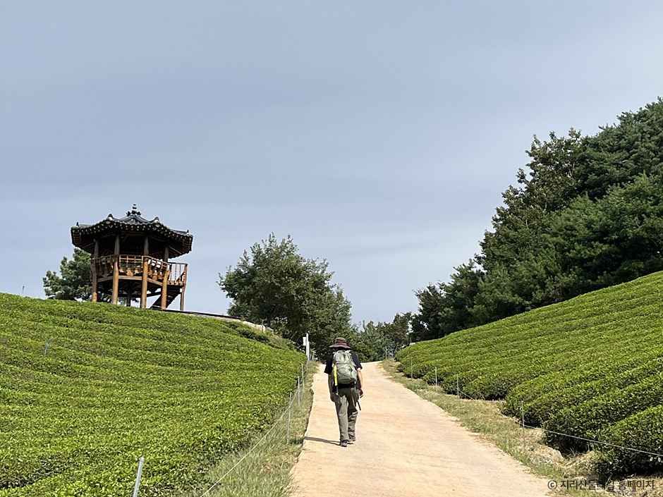 [지리산둘레길] 원부춘-가탄