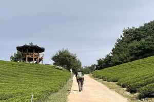 [지리산둘레길] 원부춘-가탄