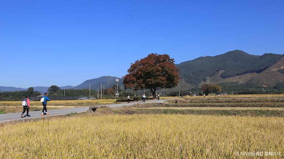 [지리산둘레길] 방광-산동