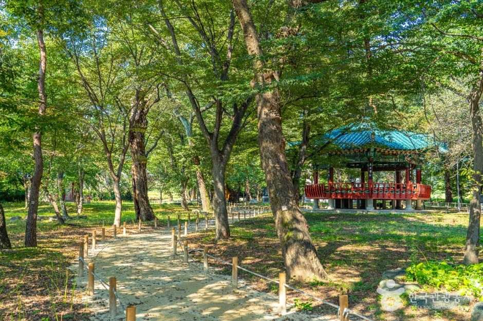 악양 취간림