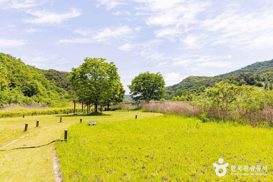 옥순봉생태공원