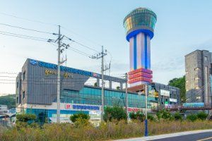 전망대활어회센터 (묵호항전망대)