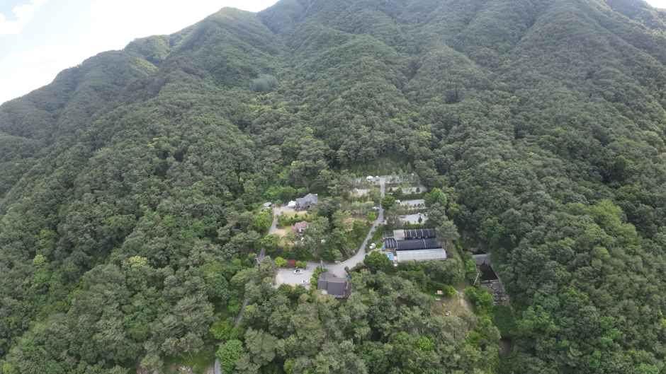 명봉산 솔밭관광농원 오토캠핑장