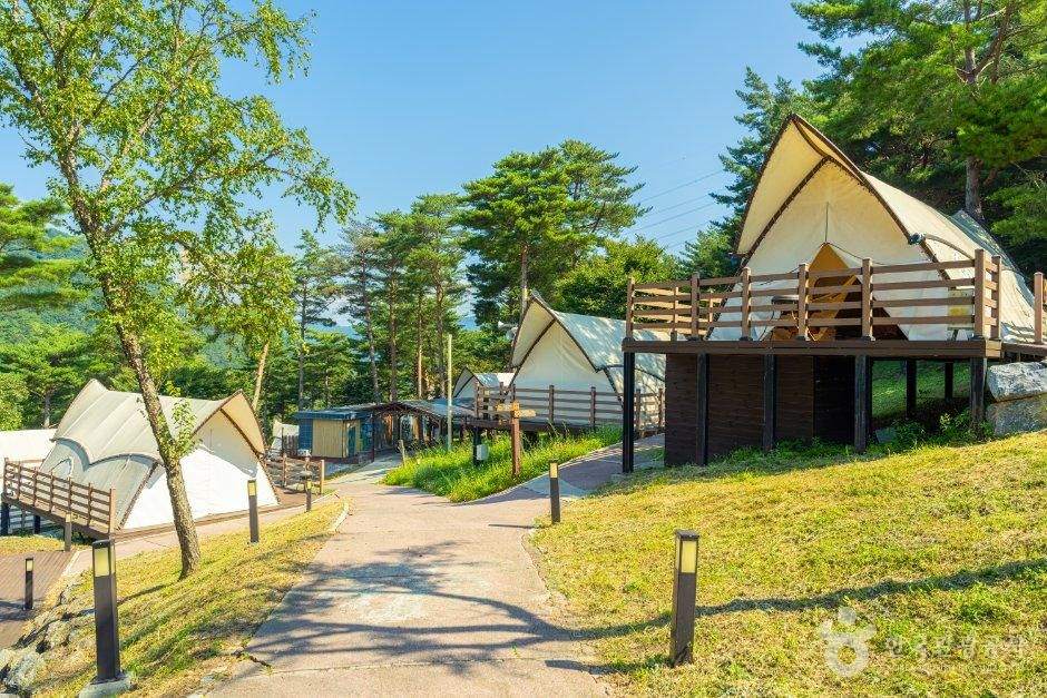 아리힐스 글램핑