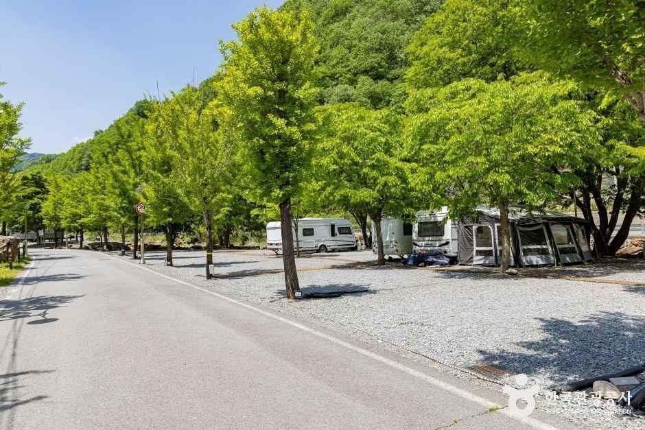 옥전캠핑장