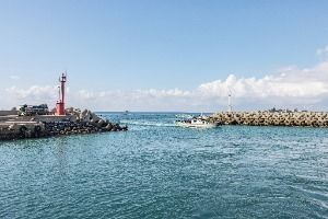 자구내포구