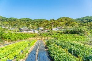 동촌마을