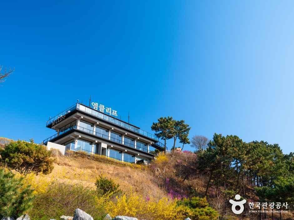 엠클리프
