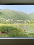 농도