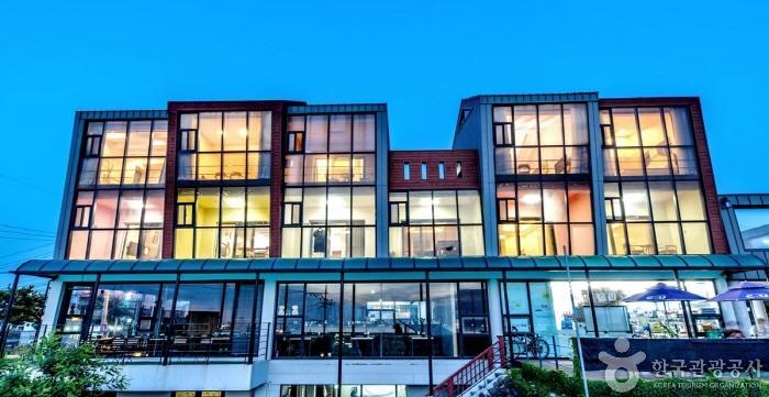 스테리나잇 제주