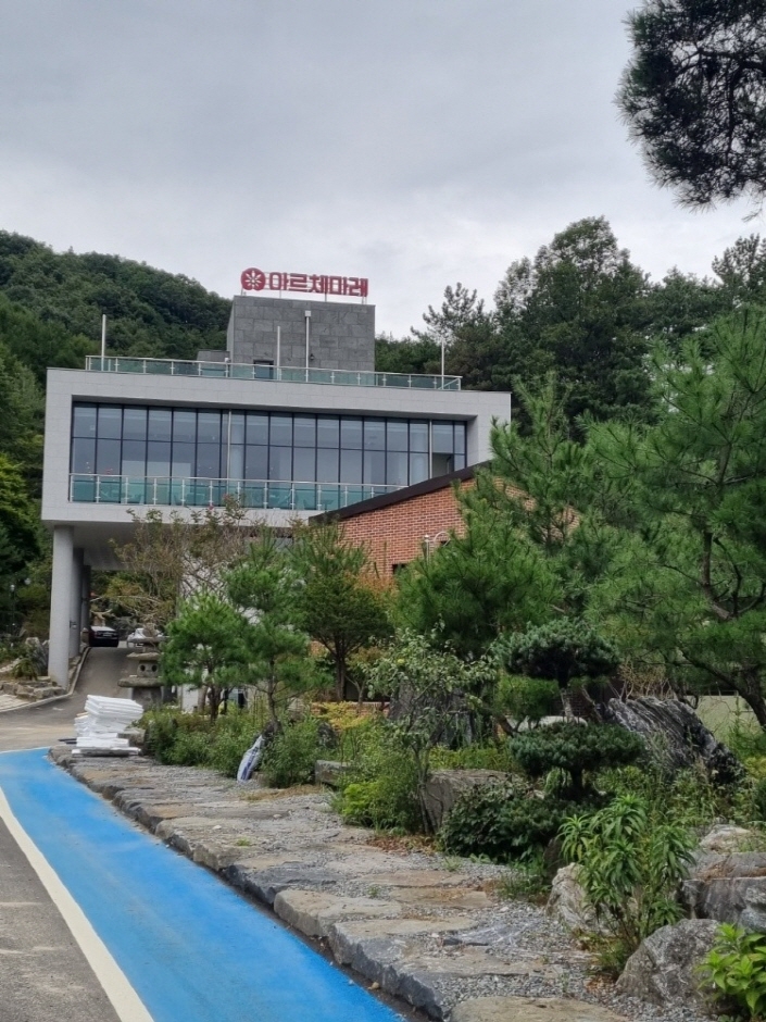 아르체마레