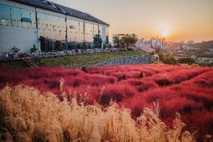 핀스커피
