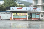 산들애