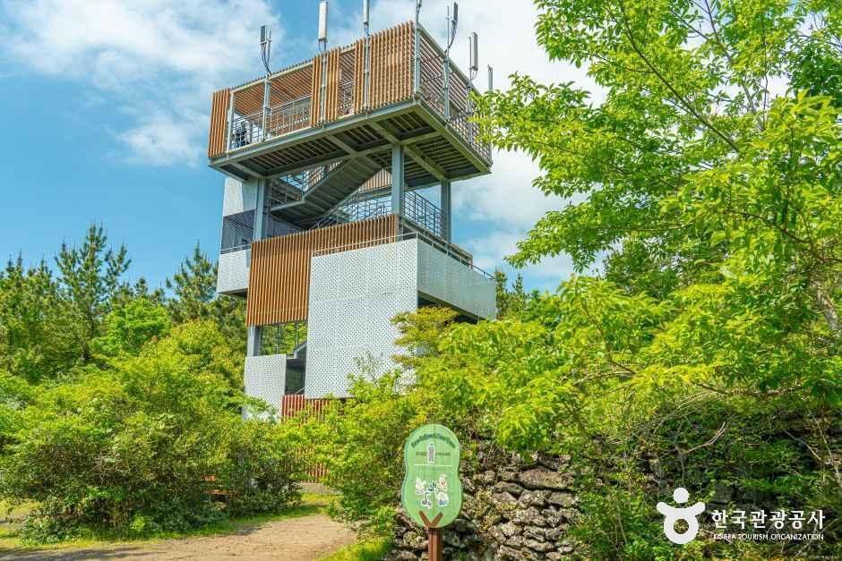 제주곶자왈도립공원