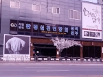 스시소담