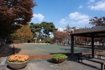 Dongtan Central Park