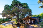 봉천사