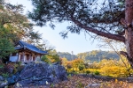 주암정
