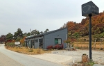 체리테일러