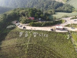 Gangneung Anbandegi Tourist Farm