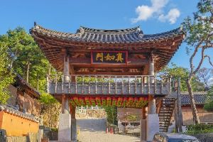 달마사(서울)
