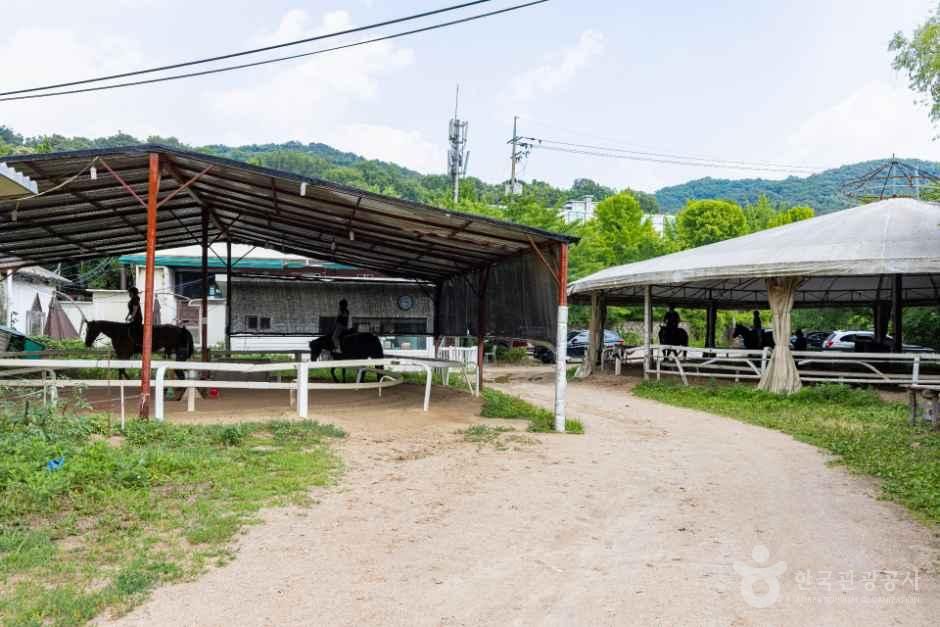 인천승마공원
