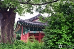 고소대