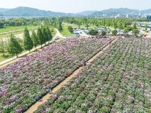 핫들생태공원