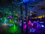 Sajik Forest of Light