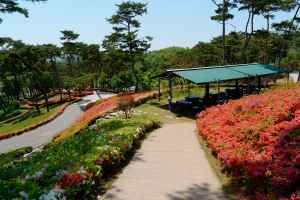 홍성솔바람테마파크