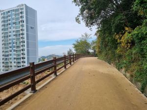 금당산 맨발로