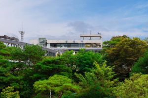 [DMZ 평화의 길] 제3땅굴/도라전망대 코스