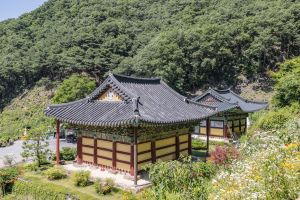 월리사(청주)