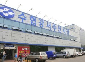 수협 강서수산시장
