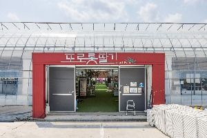 또로롱딸기