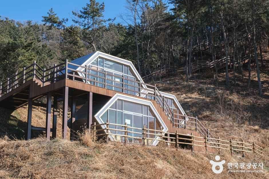 국립익산치유의숲