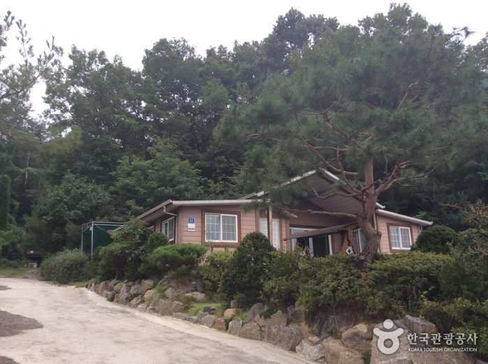 호수위의 하루