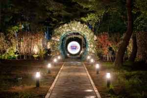 Haslla Gangneung Immersive Art Show